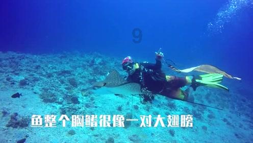 汛和集团盘中异动 早盘股价大跌13.64%